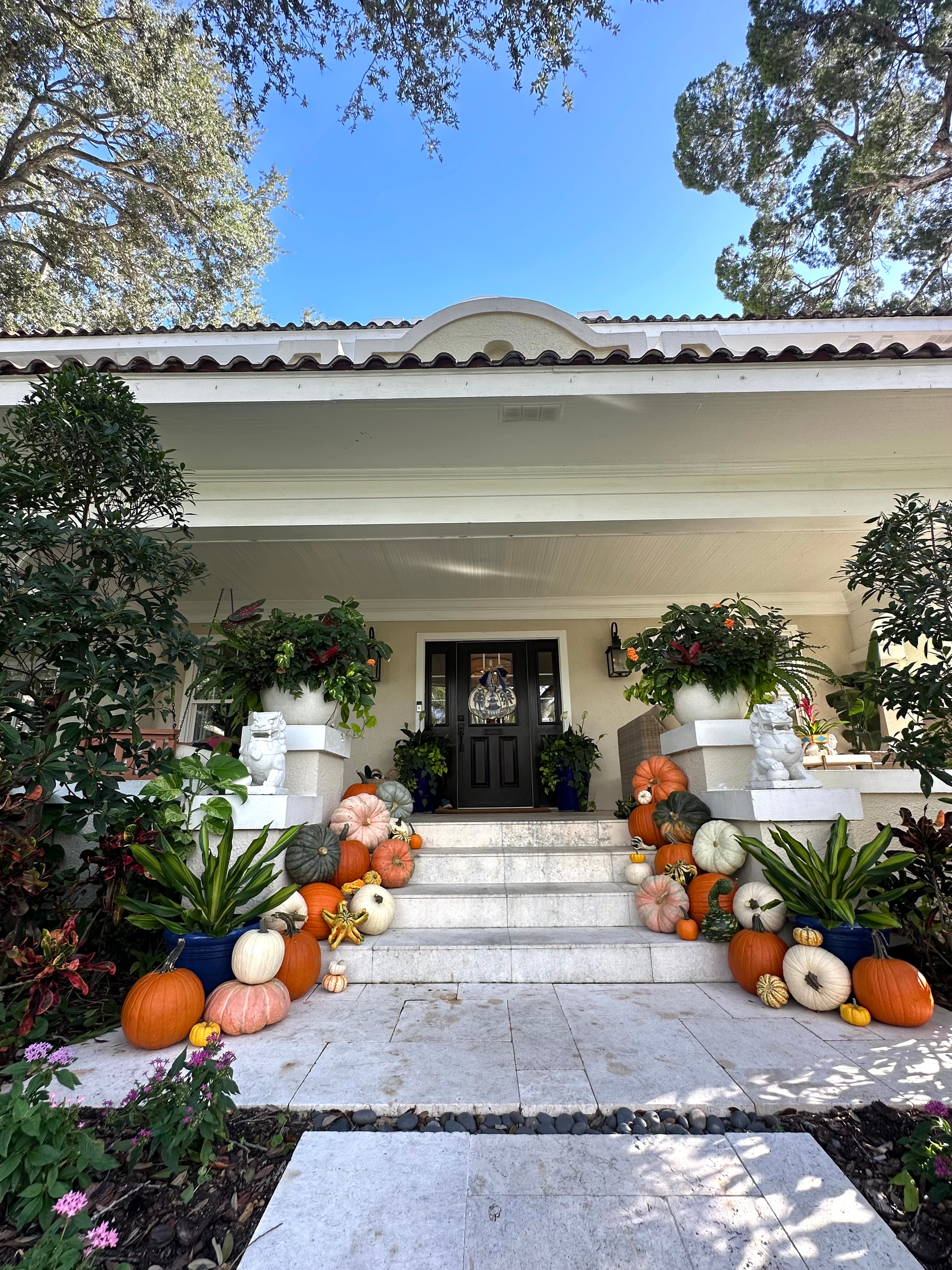 The Standard Pumpkin package